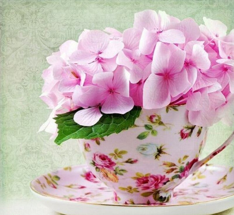 Pink Hydrangeas in Teacup — Serene, Photograph