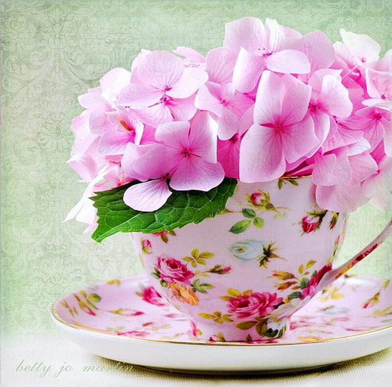 Pink Hydrangeas in Teacup