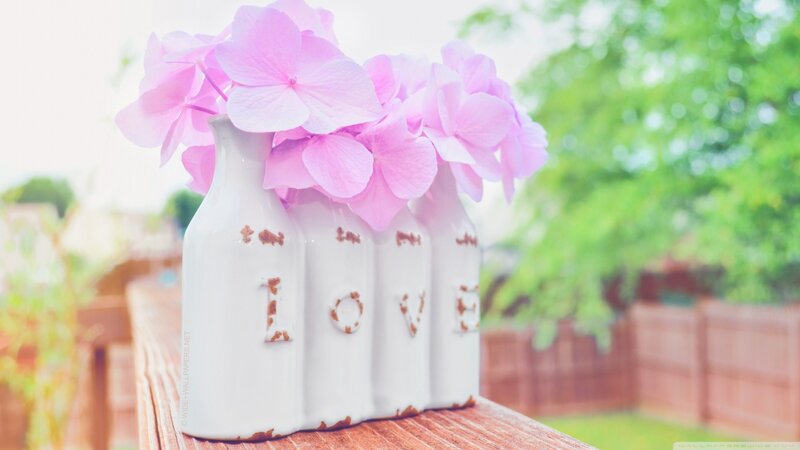 Pink Hydrangeas in Vase — Serene, Afternoon, Photograph