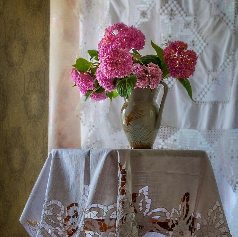 Pink Hydrangeas in Vase — Serene, Afternoon