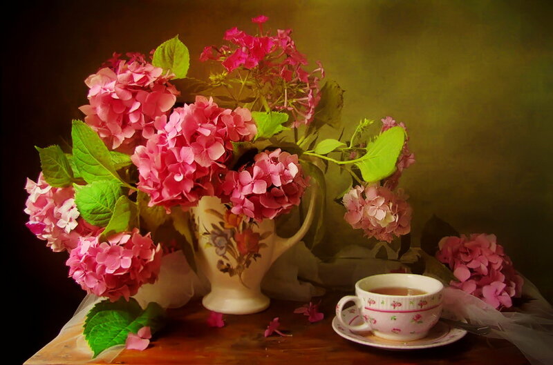 Pink Hydrangeas in Vase — Serene, Photograph, Tea Cup