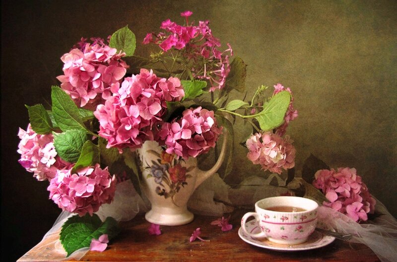 Pink Hydrangeas in Vase — Serene