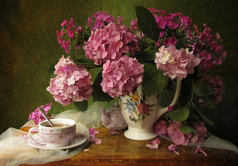 Pink Hydrangeas in Vase
