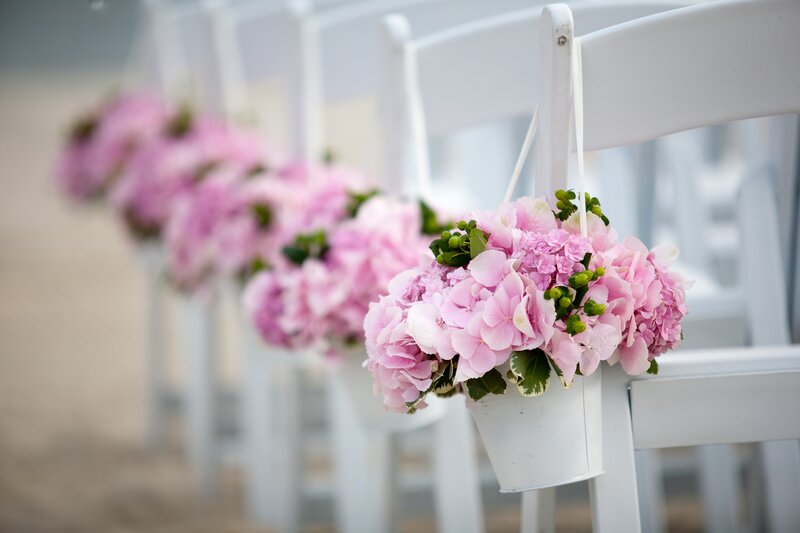 Pink Hydrangeas on Chairs