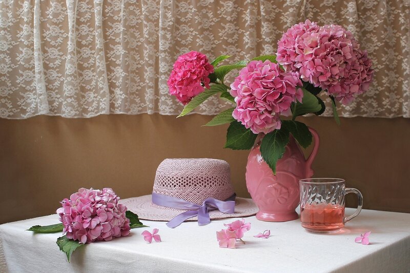 Pink Hydrangeas on Table