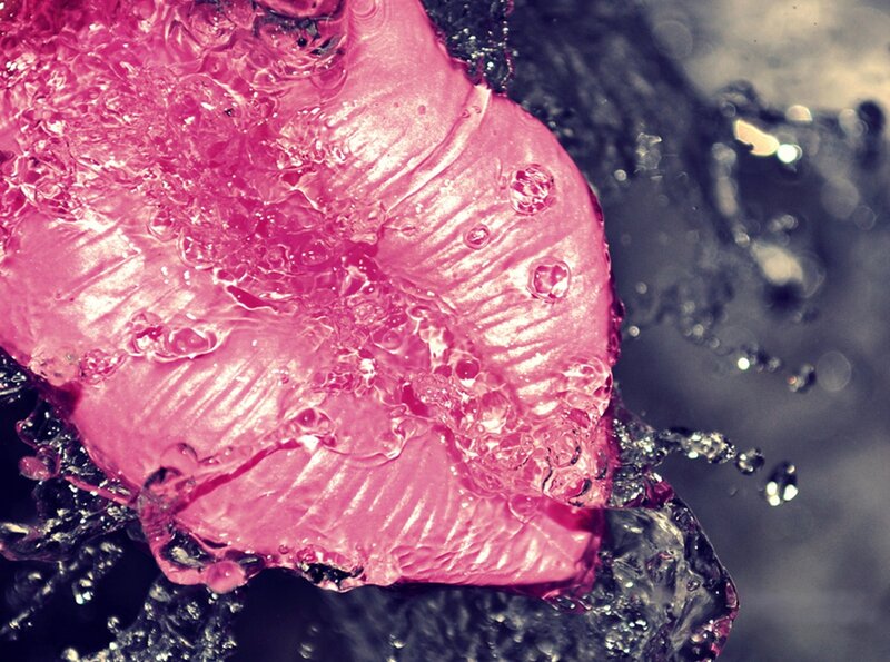 Pink Ice Cube Melting
