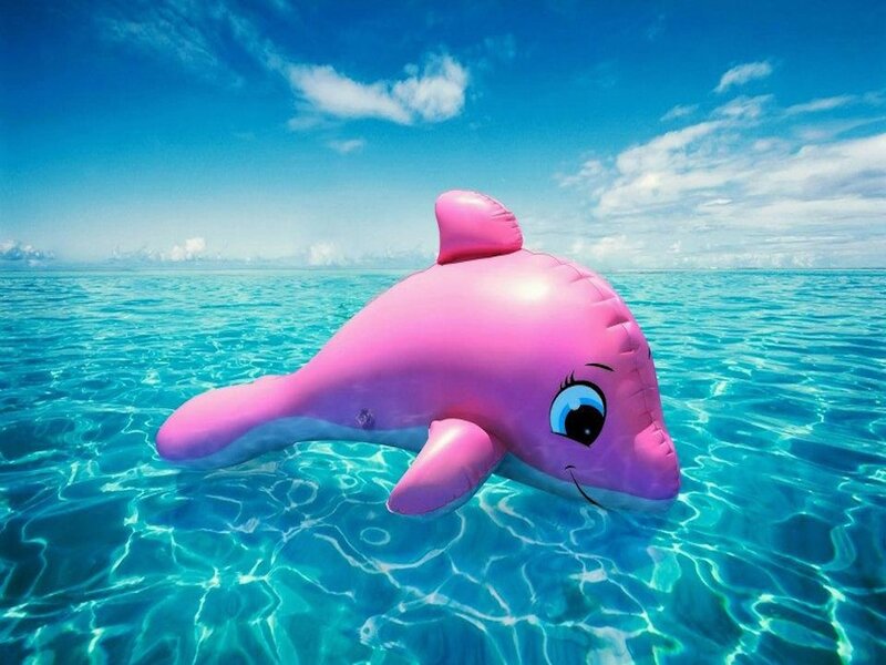 Pink Inflatable Dolphin — Blue, Serene