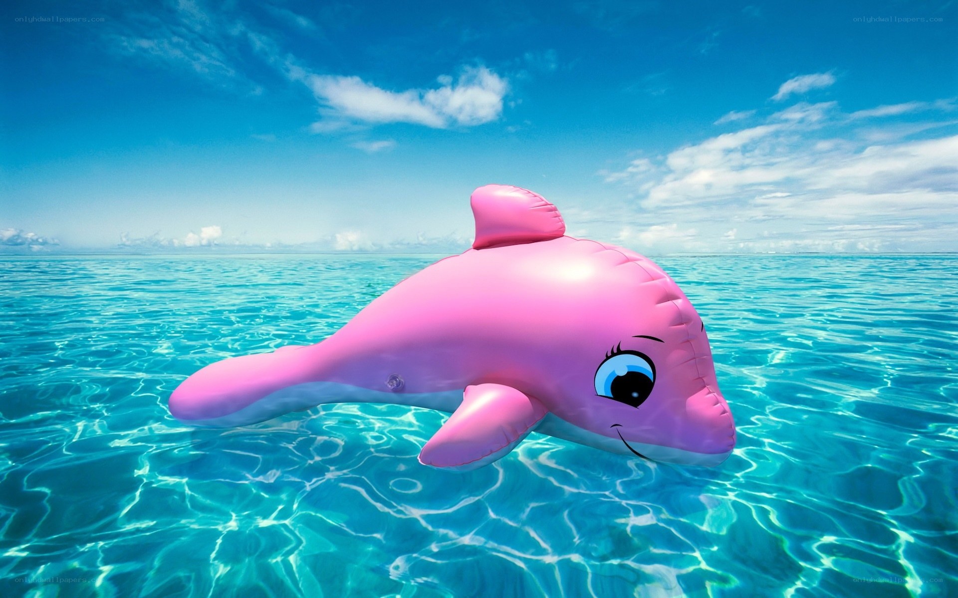 Pink inflatable dolphin in ocean