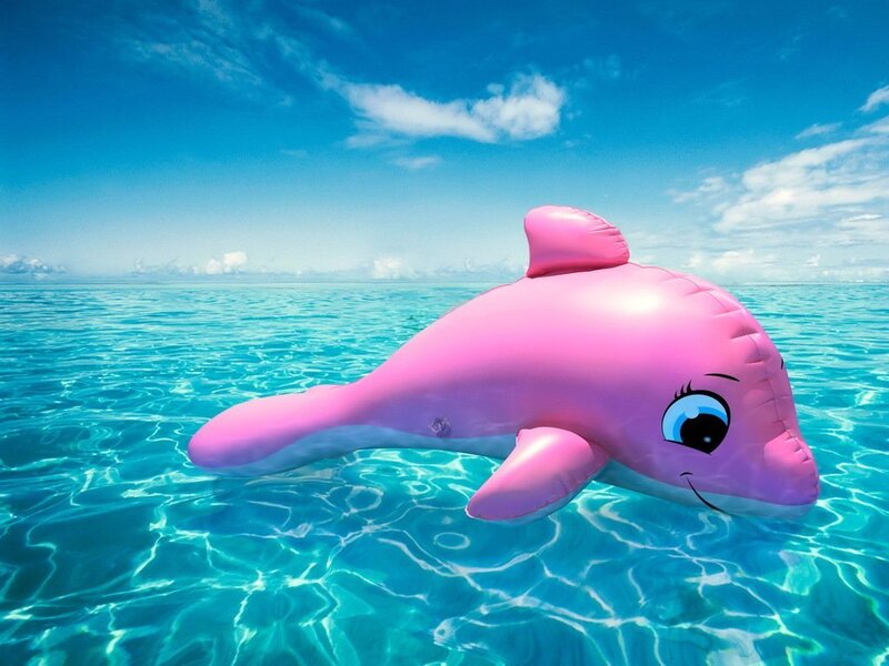 Pink Inflatable Dolphin