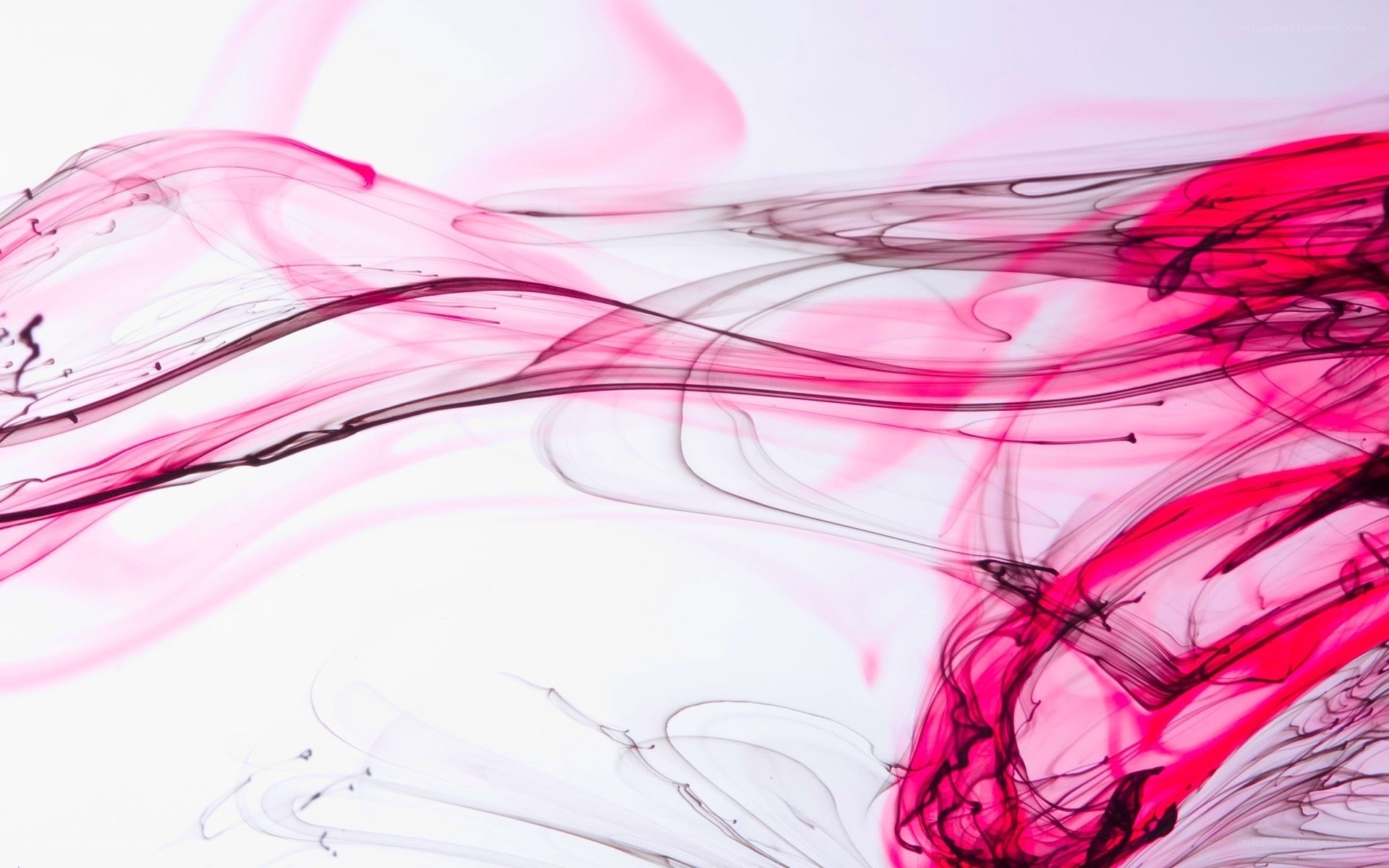 Pink ink swirls in water