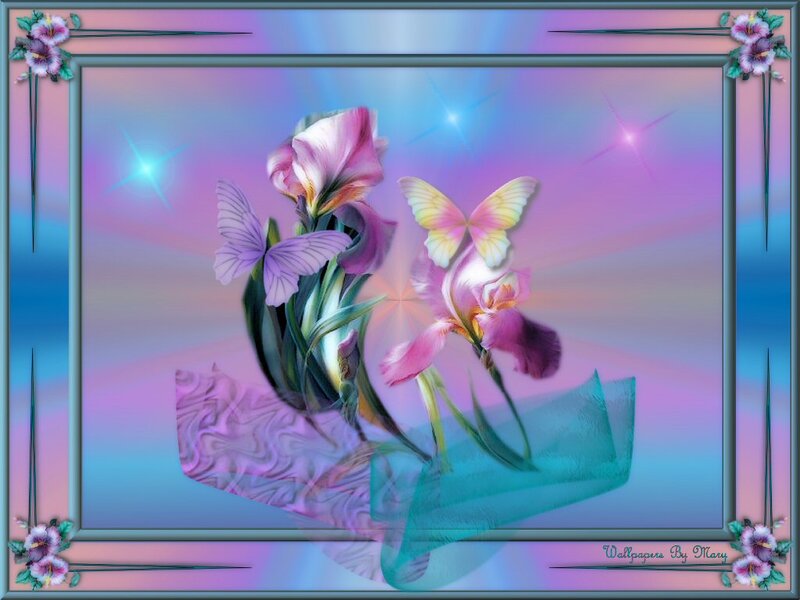 Pink Irises and Butterflies