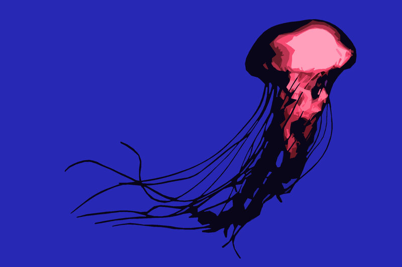 pink jellyfish illustration