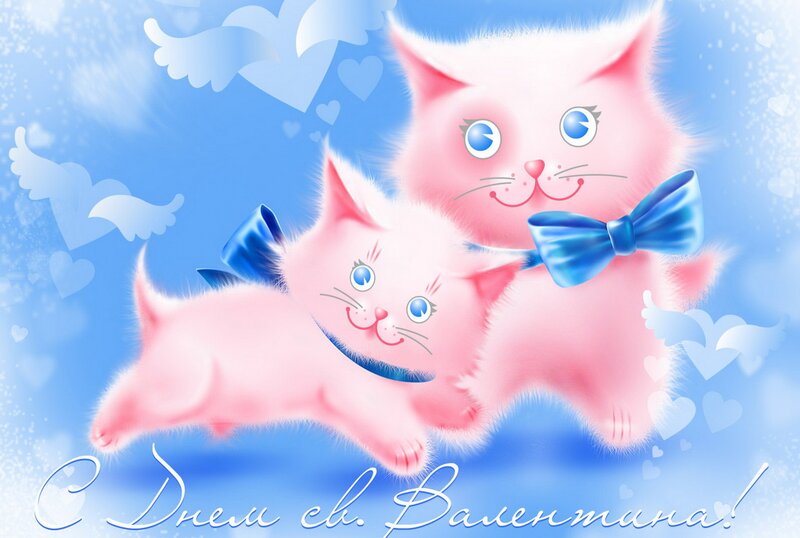Pink Kittens with Bows