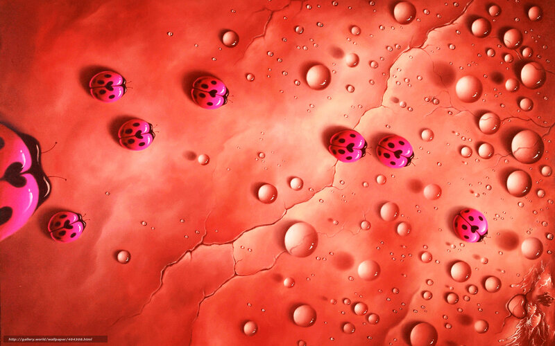 Pink Ladybugs on Red Surface — Abstract