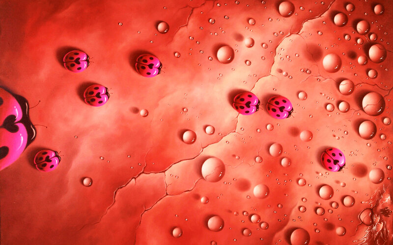 Pink Ladybugs on Red Surface — Dramatic