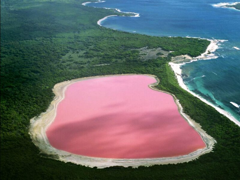 Pink Lake in Forest