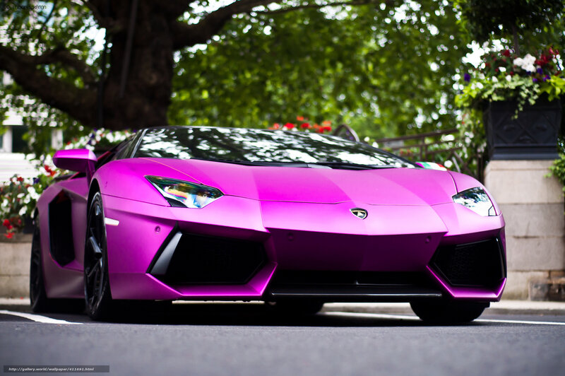 pink Lamborghini sports car