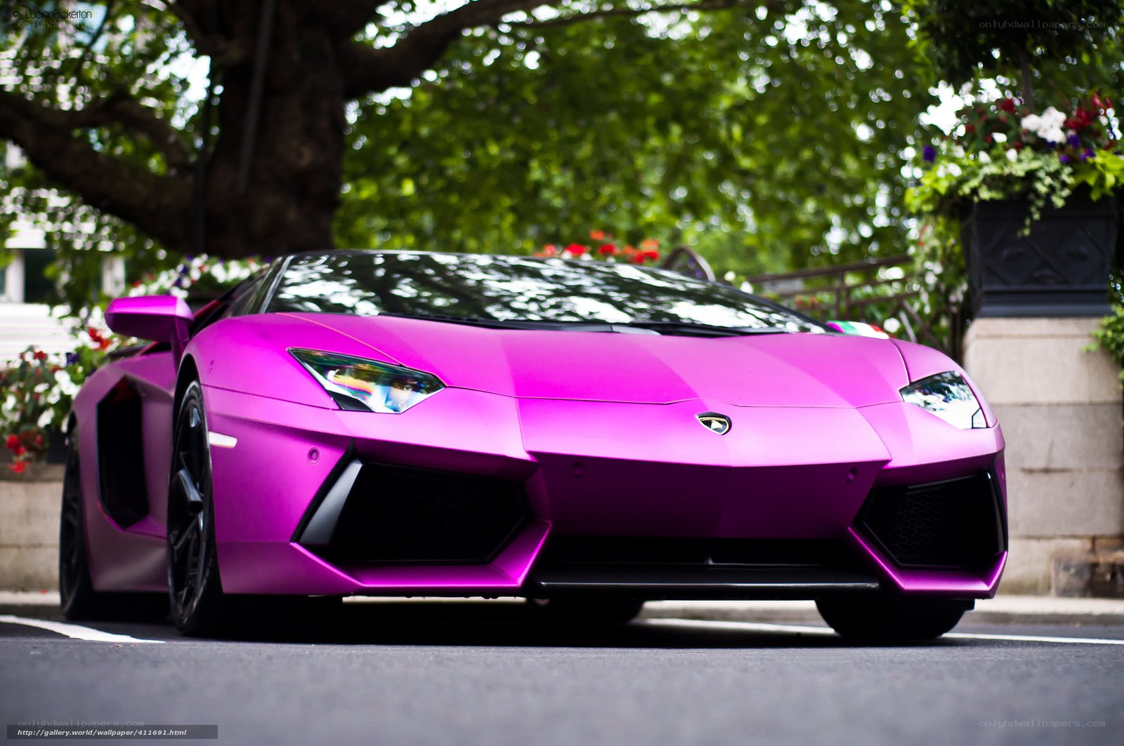 pink Lamborghini sports car