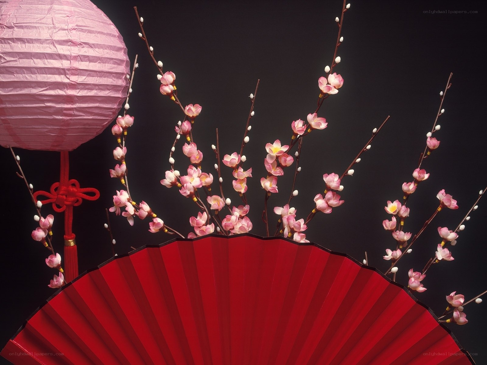 Pink lantern and red fan