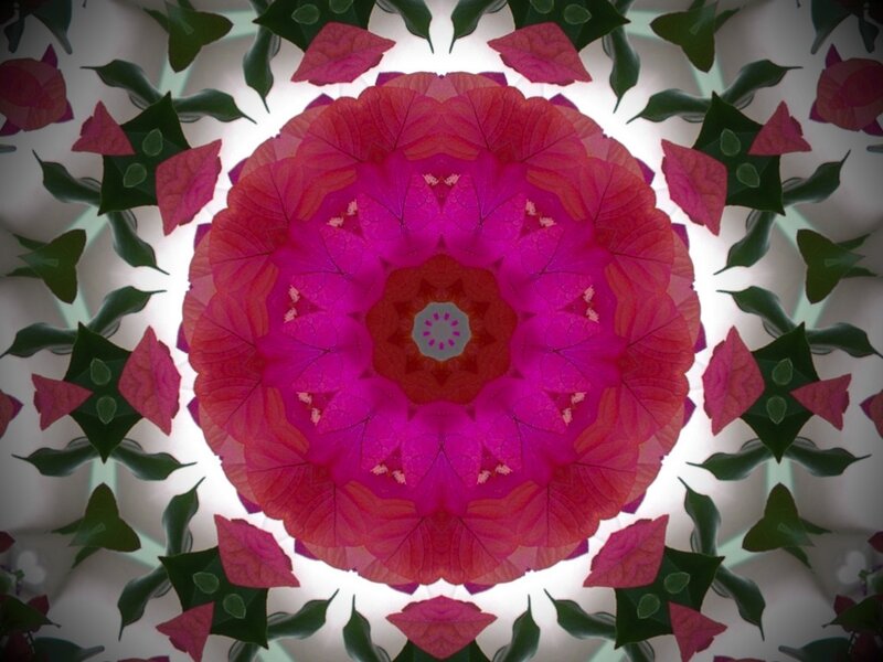 Pink Leaf Mandala