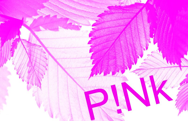 Pink Leaves on White