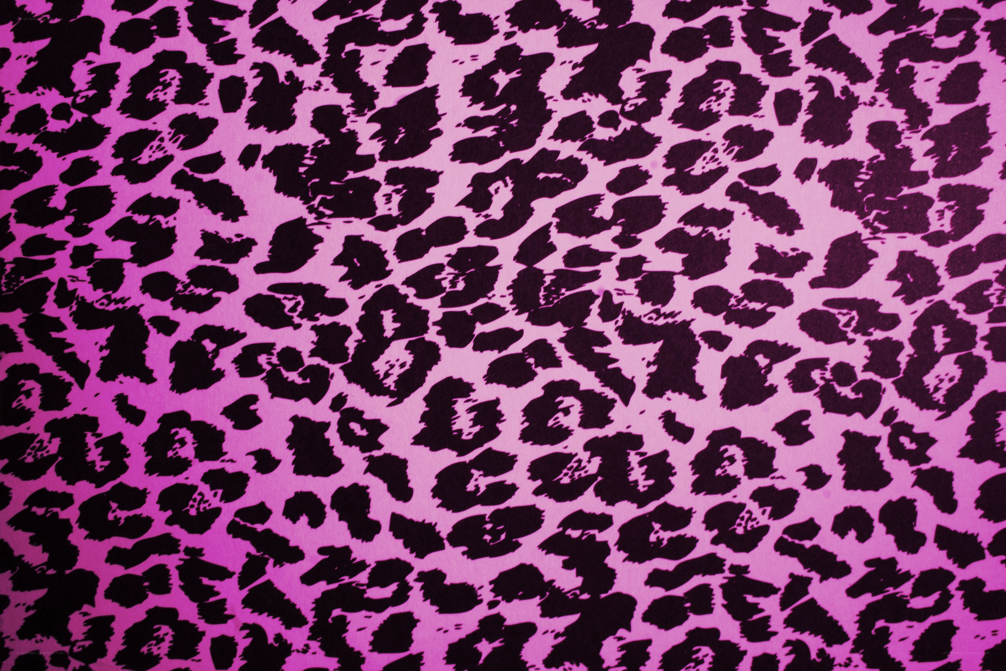pink leopard print pattern