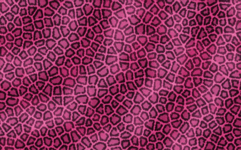 Pink Leopard Print Pattern — Bold