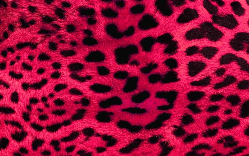 Pink Leopard Print