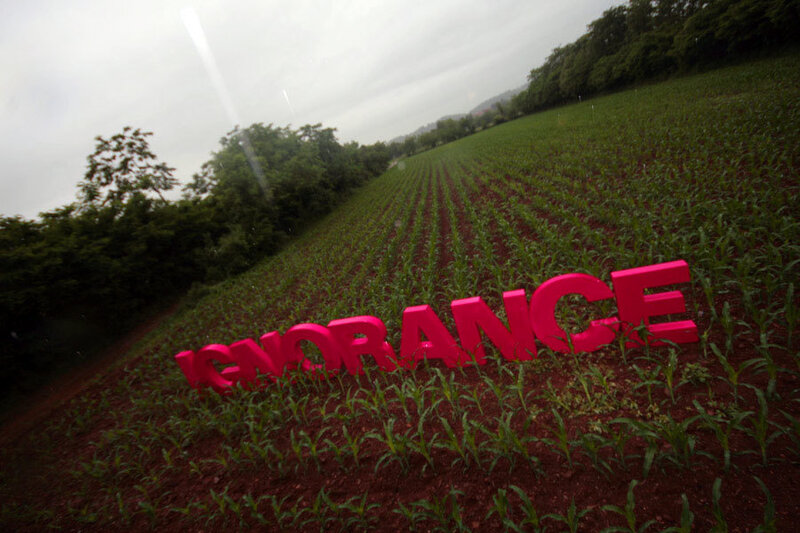 Pink Letters in Field