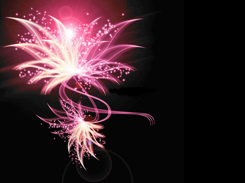 pink light flower animation