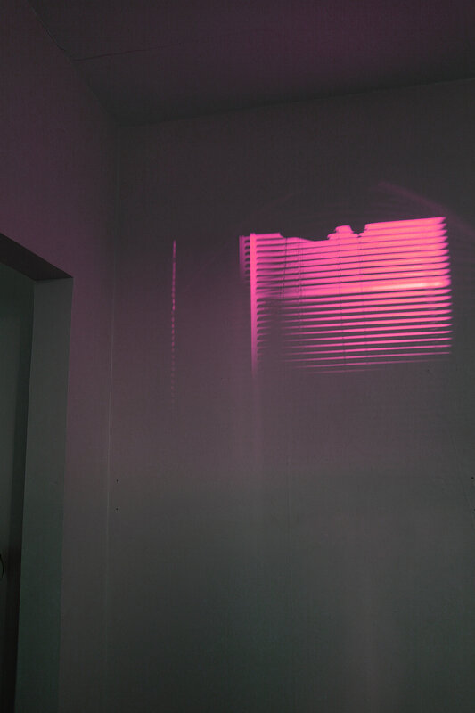 Pink Light Through Blinds
