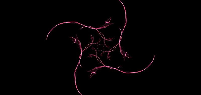 Pink Light Trails — Black