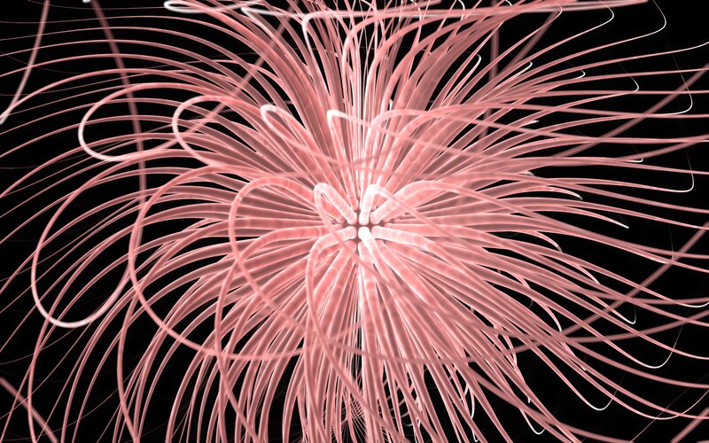 Pink light trails on black