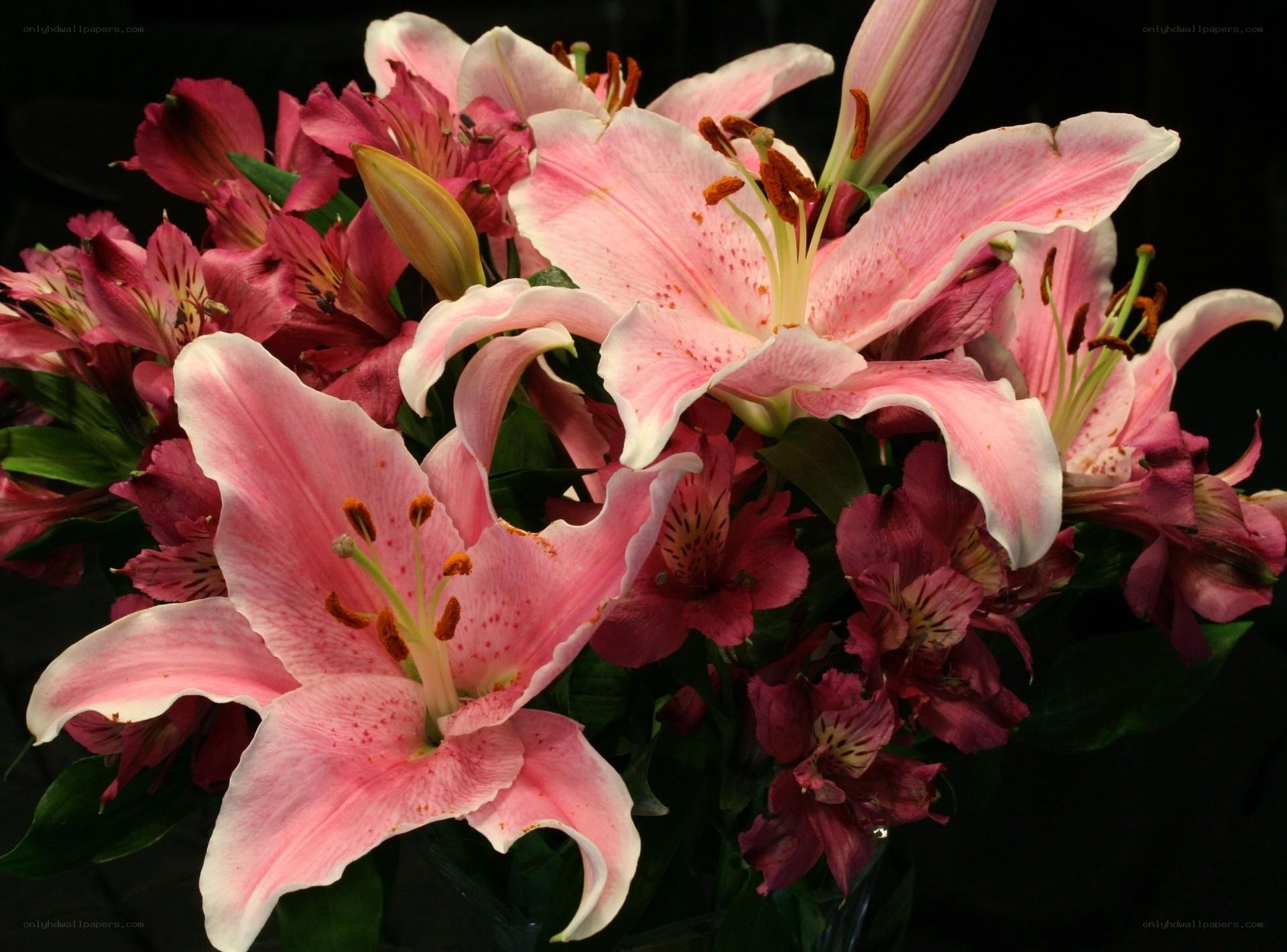 Pink lilies and alstroemeria bouquet