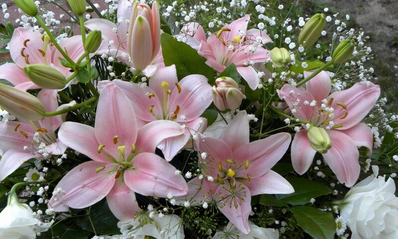 Pink lilies and baby's breath bouquet