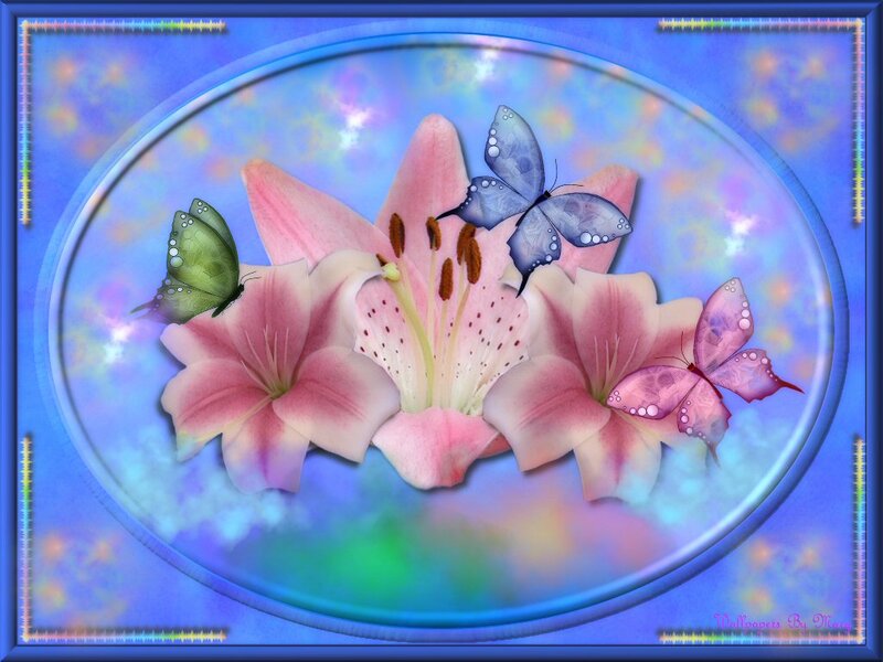 Pink Lilies and Butterflies — Blue