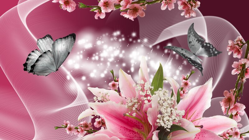 Pink Lilies and Butterflies — Dreamy