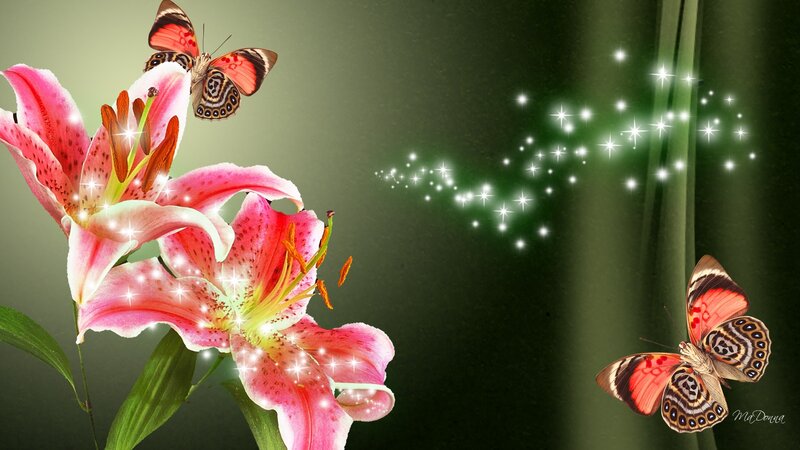Pink Lilies and Butterflies — Green