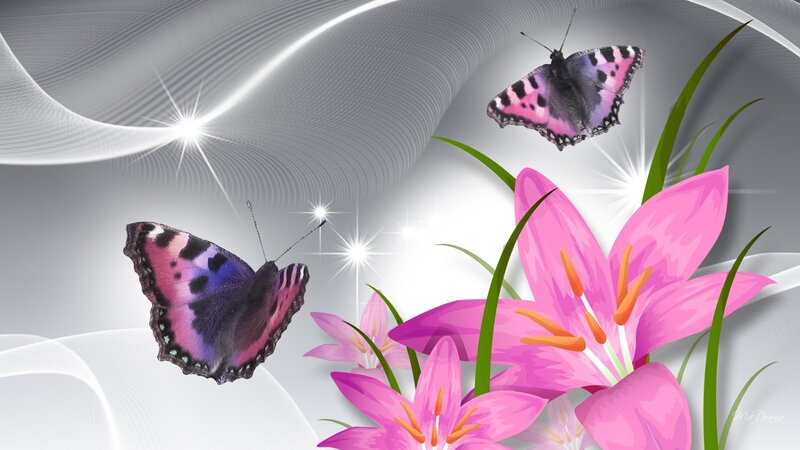 Pink Lilies and Butterflies — Serene