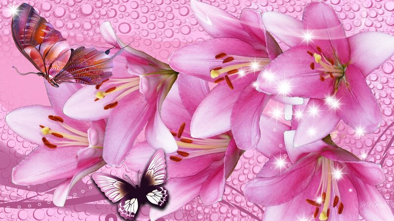 Pink Lilies and Butterflies