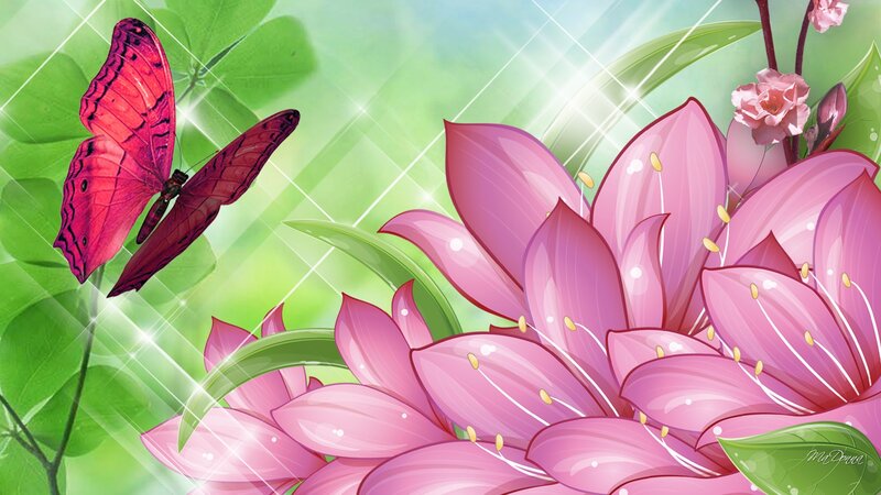 Pink Lilies and Butterfly — Serene, Spring