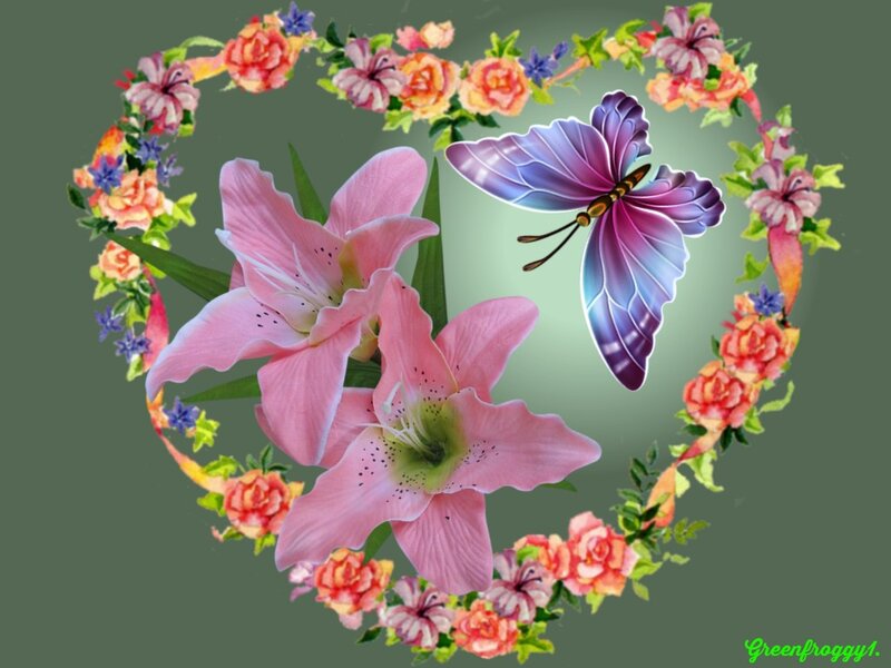 Pink Lilies and Butterfly — Serene