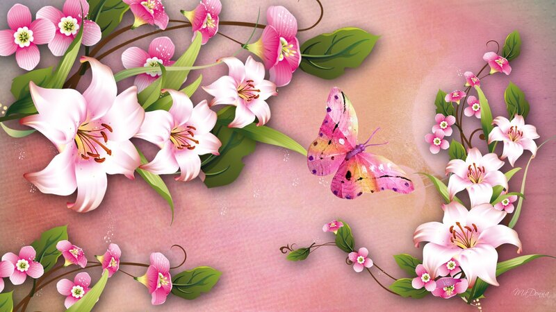 Pink Lilies and Butterfly