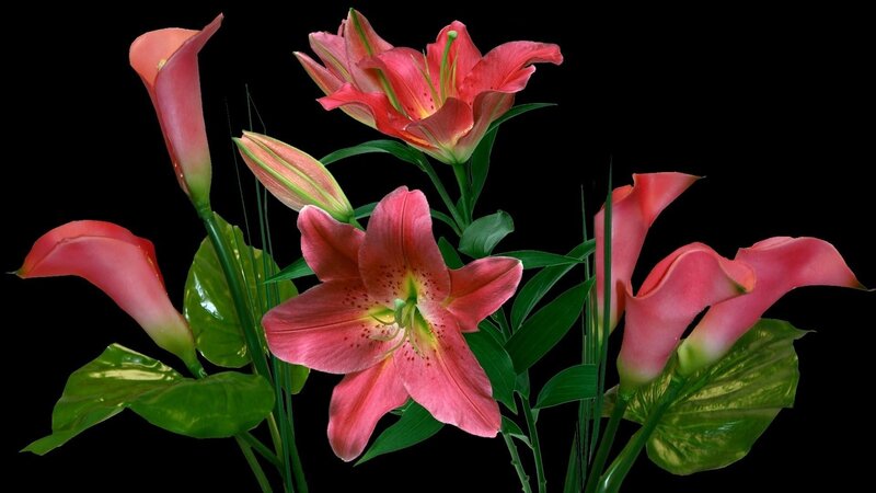 Pink lilies and calla lilies