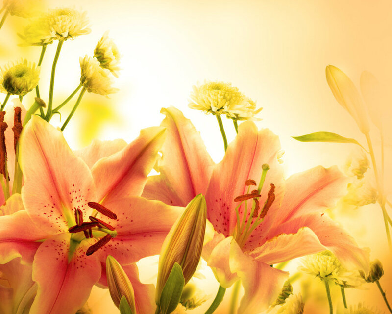 Pink Lilies and Chrysanthemums