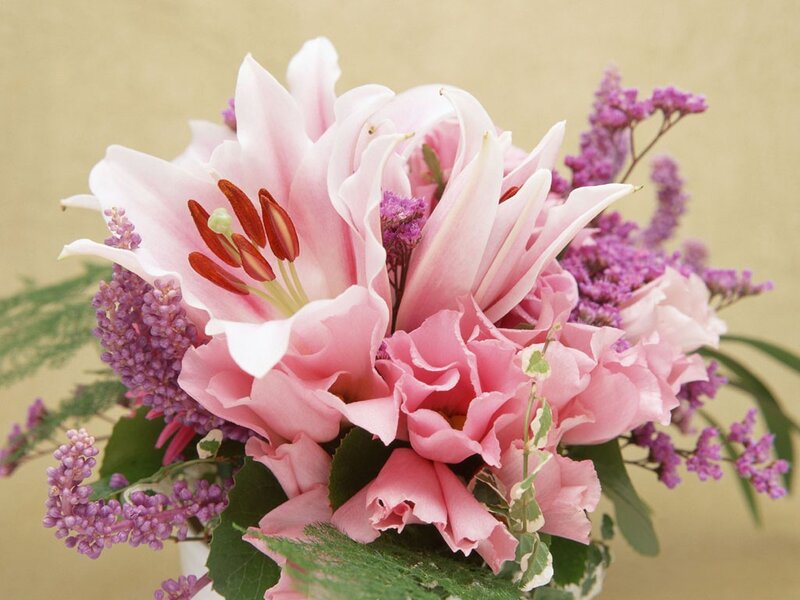Pink lilies and purple flowers