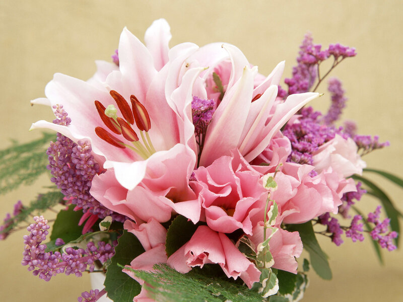 Pink lilies and purple flowers