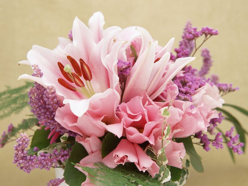 Pink lilies and purple flowers