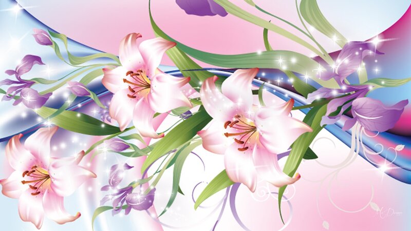 Pink Lilies and Purple Flowers — Dreamy