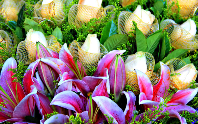 Pink Lilies and Roses — Vibrant